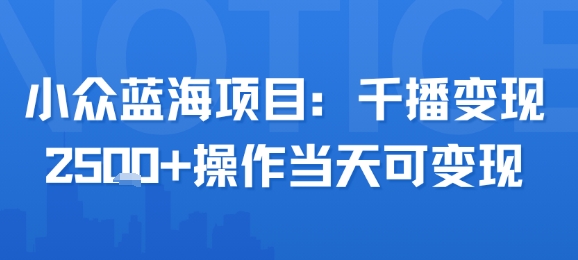 小众蓝海项目，千播变现2.5k+操作当天可变现-财仔梦想资源网