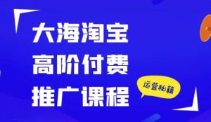 大海淘宝高阶付费推广课程-财仔梦想资源网