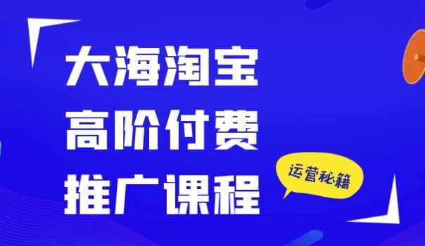 大海淘宝高阶付费推广课程-财仔梦想资源网