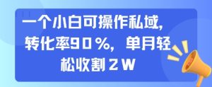 一个小白可操作私域，转化率90%，单月轻松收割2W-财仔梦想资源网