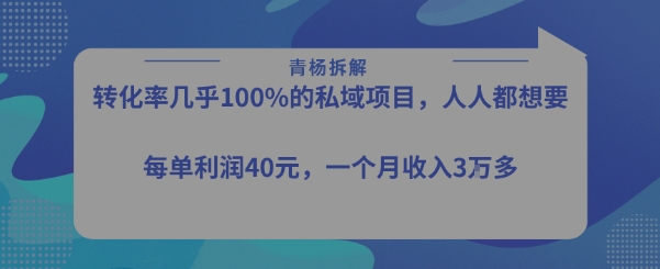 转化率最高的私域项目，每单利润40-50米，月入过1w-财仔梦想资源网