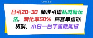 日引20-30精准引流私域新玩法，转化率50%高客单虚拟资料，小白一台手机就能做-财仔梦想资源网