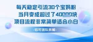 每天稳定引流30个人当月变成超过了4个W项目流程非常简单适合小白-财仔梦想资源网