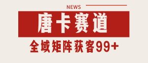 唐卡赛道私域引流获客自热矩阵SOP日引流99+精准客资-财仔梦想资源网