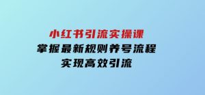 小红书引流实操课,掌握最新规则养号流程,实现高效引流-财仔梦想资源网