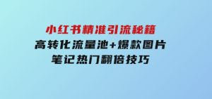 小红书精准引流秘籍，高转化流量池+爆款图片，笔记热门翻倍技巧-财仔梦想资源网