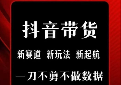 抖音短视频一刀不剪带货，不剪辑，不直播，每天发个视频，等着出单获取带货佣金-财仔梦想资源网