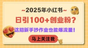 2025年小红书日引100+创业粉？这招新手抄作业也能爆流量！-财仔梦想资源网