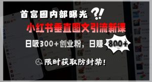 首富圈内部曝光小红书垂直图文引流新课，日吸300+创业粉，日入8张+，限时获取防封禁-财仔梦想资源网