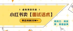 小红书虚拟项目掘金，卖面试话术资料，单店纯利20W+(附爆款笔记制作方法)-财仔梦想资源网
