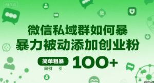 微信私域群如何暴力被动添加创业粉，简单粗暴，日引100+-财仔梦想资源网