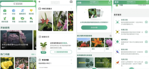 PictureThisPlantIdentifier植物识别软件v5.9.0简洁无广告-财仔梦想资源网