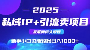 2025网创尽头项目，私域IP+引流，新手小白也能在家日入1000+-财仔梦想资源网