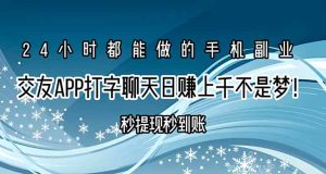 交友APP打字聊天赚钱秒提现秒到账，日赚上千不是梦！-财仔梦想资源网