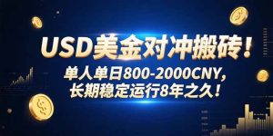 USD美金对冲搬砖!单人单日800-2000CNY，长期稳定运行8年之久!-财仔梦想资源网