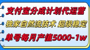 支付宝分成计划代运营，独家自然流技术，收益稳定，单号月产5000＋-财仔梦想资源网
