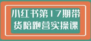 小红书第17期带货陪跑营实操课-财仔梦想资源网