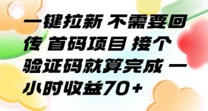 一键拉新不需要回传首码项目接个验证码就算完成一小时收益70+【揭秘】-财仔梦想资源网
