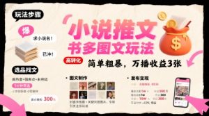 小说推文小红书多图文玩法，简单粗暴，万播收益3张-财仔梦想资源网