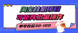 揭秘2025最新淘宝挂机项目，单号30-100，可矩阵批量操作(附工具)-财仔梦想资源网
