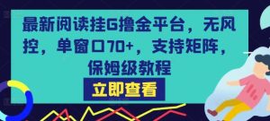 最新阅读挂G撸金平台，无风控，单窗口70+，支持矩阵，保姆级教程【揭秘】-财仔梦想资源网