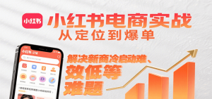 小红书电商实战，从定位到爆单解决新商冷启动难、变现效率低等难题-财仔梦想资源网