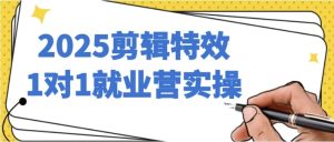 2025剪辑特效1对1就业营实操-财仔梦想资源网