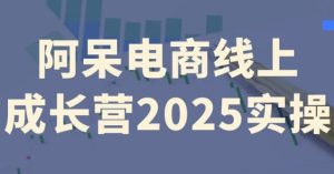 阿呆电商线上成长营2025实操-财仔梦想资源网