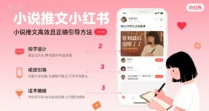 小说推文小红书高转化引导方法实操课，小说推文高效且正确引导方法-财仔梦想资源网
