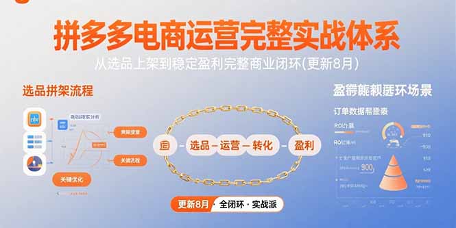 拼多多电商运营完整实战体系，从选品上架到稳定盈利完整商业闭环(更新8月-财仔梦想资源网