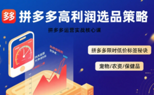 久号老师·拼多多选品暴利技术实战课-财仔梦想资源网