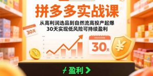 拼多多实战课：从高利润选品到自然流高投产起爆30天实现低风险可持续盈利-财仔梦想资源网