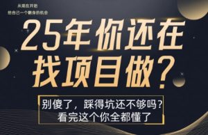 25年，你还在疯狂的找项目吗？别傻了，看完这个你都懂了【揭秘】-财仔梦想资源网