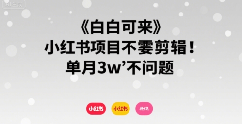 小白可来小红书项目不需要剪辑单月3w不是问题-财仔梦想资源网