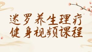 迷罗养生理疗健身视频课程-财仔梦想资源网