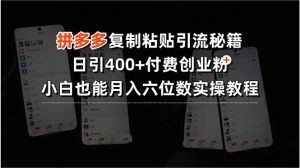 拼多多复制粘贴引流秘籍，日引400+付费创业粉，小白也能月入六位数实操…-财仔梦想资源网