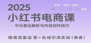 2025小红书电商课：解析算法，创作高转化内容，助力卖家获取流量实现变现(录音)-财仔梦想资源网
