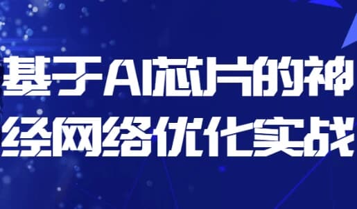 基于AI芯片的神经网络优化实战-财仔梦想资源网