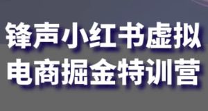 锋声小红书虚拟电商掘金特训营-财仔梦想资源网