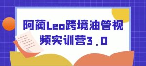 阿蔺Leo跨境油管视频实训营3.0-财仔梦想资源网