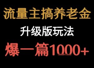 流量主之养老金升级版玩法 爆一篇收益1k+-财仔梦想资源网