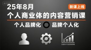 个人商业体的内容营销课25年8月，个人品牌化，品牌个人化，自媒体ip内容营销策略-财仔梦想资源网