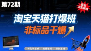 淘宝天猫打爆班原创高阶技术第72期，非标品干爆-财仔梦想资源网