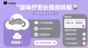 猫咪疗愈长视频拆解&油管频道运营技巧-财仔梦想资源网