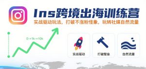 Ins跨境出海训练营，实战驱动玩法，打破不涨粉怪象，玩转社媒自然流量-财仔梦想资源网