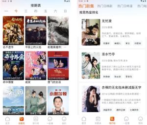 番喜视频v1.7.6免费影视追剧含4K源，去广告纯净版-财仔梦想资源网