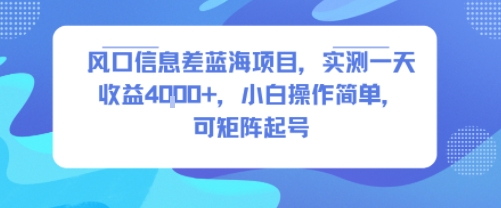风口信息差蓝海项目，实测一天收益4k+，小白操作简单，可矩阵起号-财仔梦想资源网