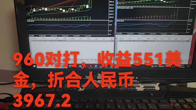图片[1]-稳定8年的美刀搬砖项目，单人每日收益800—3000.团队4人月入10W+.可线下-财仔梦想资源网