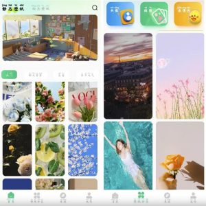 百变壁纸秀v1.0.6丰富壁纸图素材解锁VIP功能-财仔梦想资源网