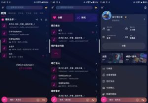 MusicPlayer音乐播放器v1.02.87.0730解锁会员-财仔梦想资源网